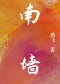 南墙能挂孔雀吗