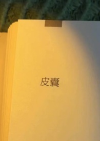 皮囊第一季